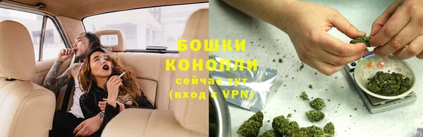 дмт Елизово