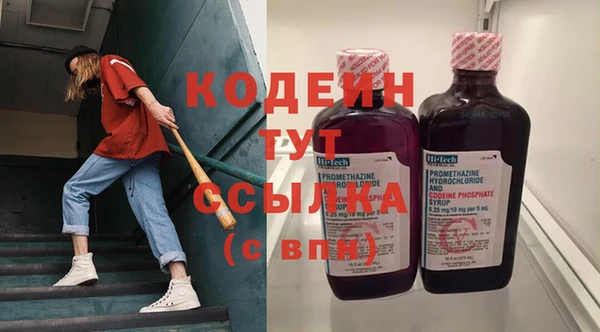 дмт Елизово
