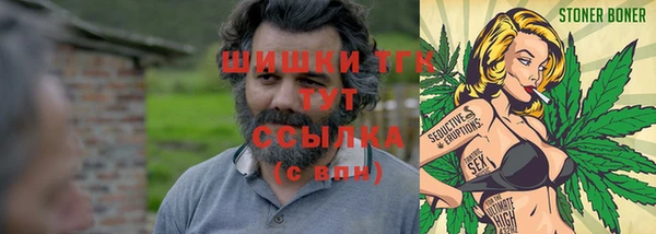 дмт Елизово